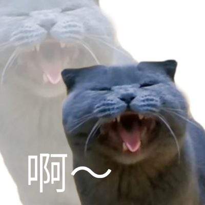 表情包头像