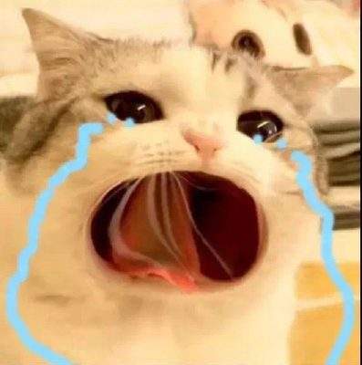 表情包头像