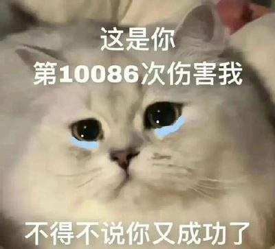 表情包头像