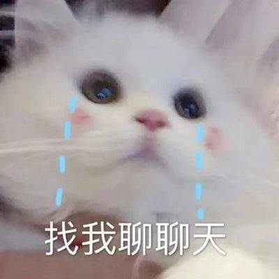 表情包头像