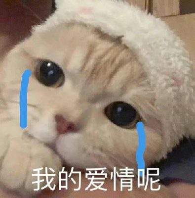 表情包头像