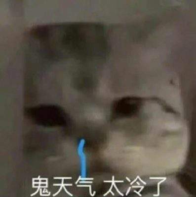 表情包头像