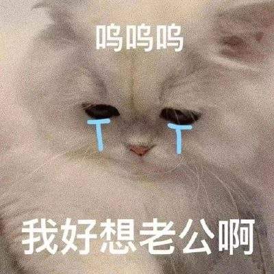 表情包头像
