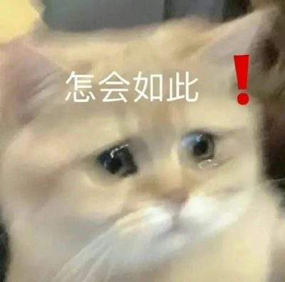 表情包头像