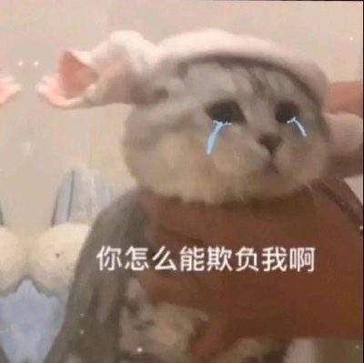 表情包头像