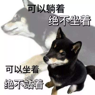 表情包头像