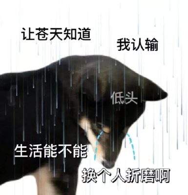 表情包头像