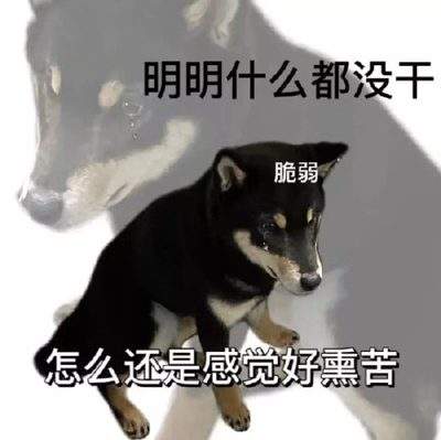 表情包头像