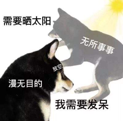 表情包头像
