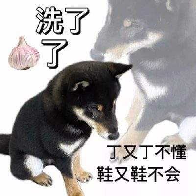 表情包头像