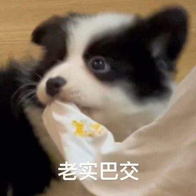 表情包头像
