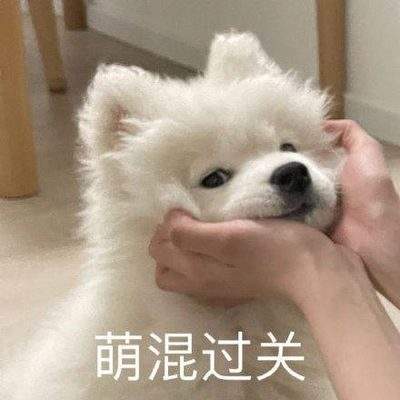 表情包头像