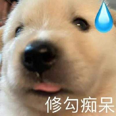 表情包头像