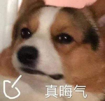 表情包头像