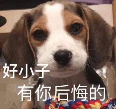 表情包头像
