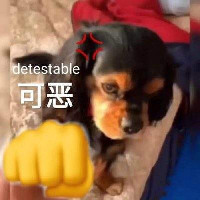 表情包头像