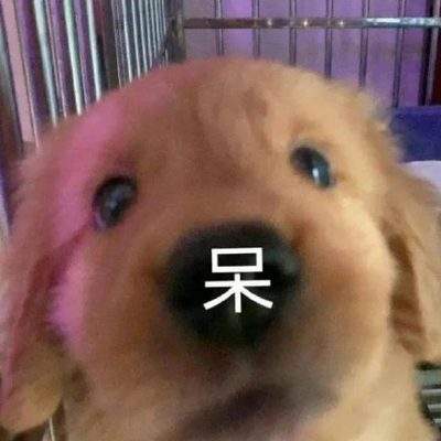 表情包头像
