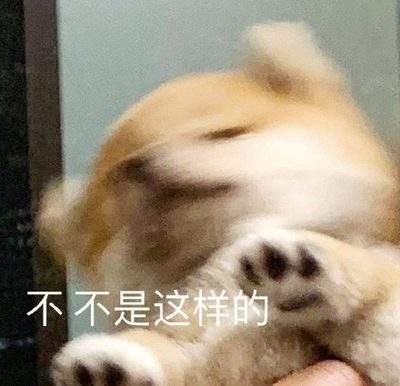 表情包头像