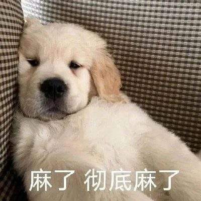 表情包头像