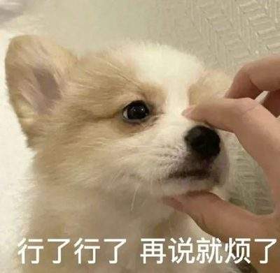 表情包头像