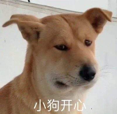 表情包头像