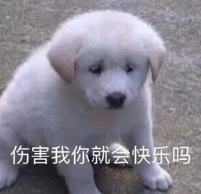 表情包头像