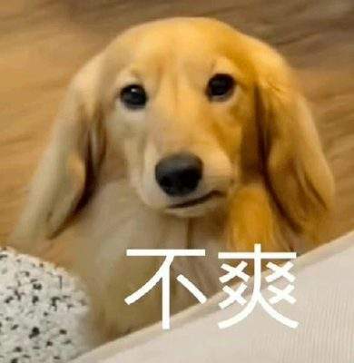 表情包头像