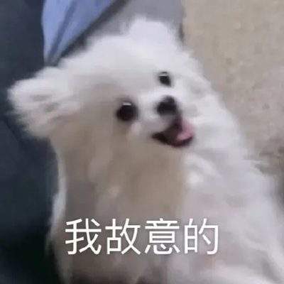 表情包头像
