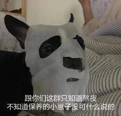 表情包头像