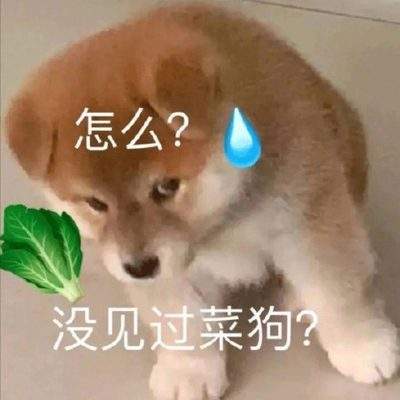 表情包头像