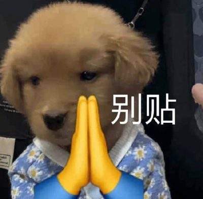表情包头像