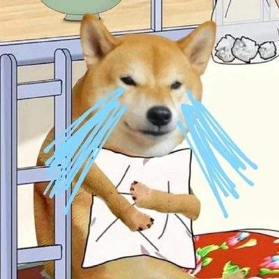 表情包头像