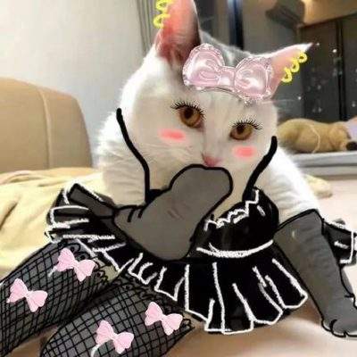 表情包头像
