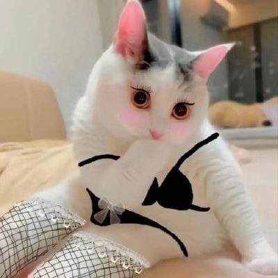 表情包头像