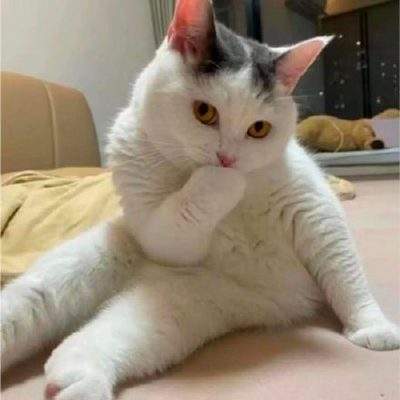 表情包头像