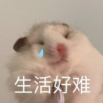 表情包头像