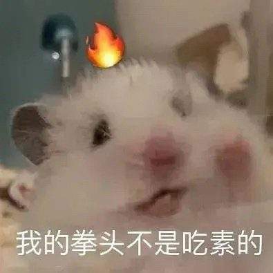 表情包头像