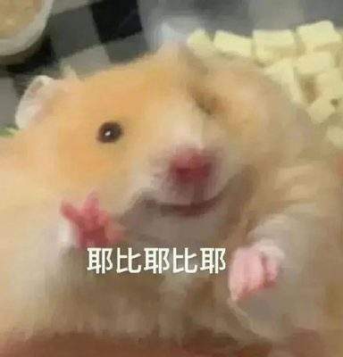 表情包头像