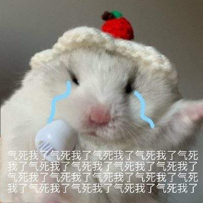 表情包头像