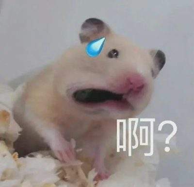 表情包头像