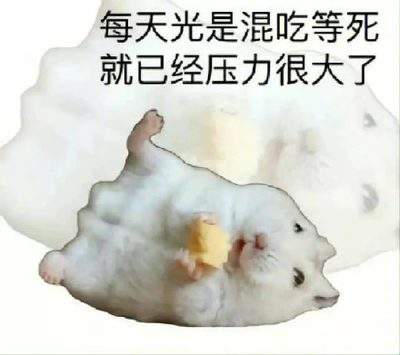 表情包头像