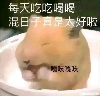 表情包头像
