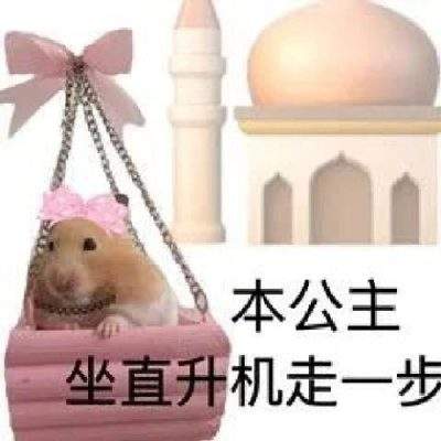 表情包头像