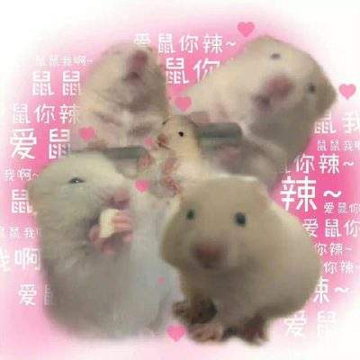 表情包头像