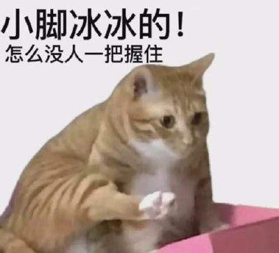 表情包头像