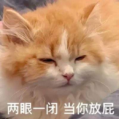 表情包头像