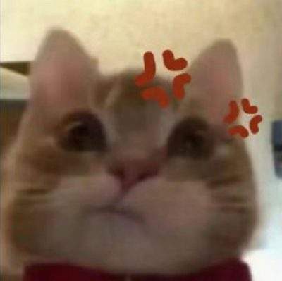 表情包头像