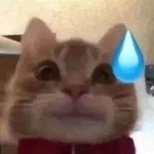 表情包头像