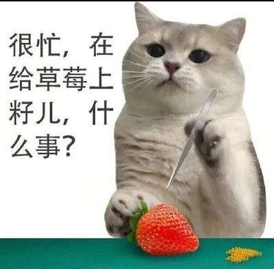 表情包头像