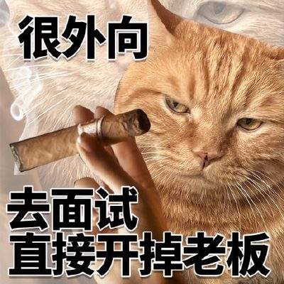 表情包头像